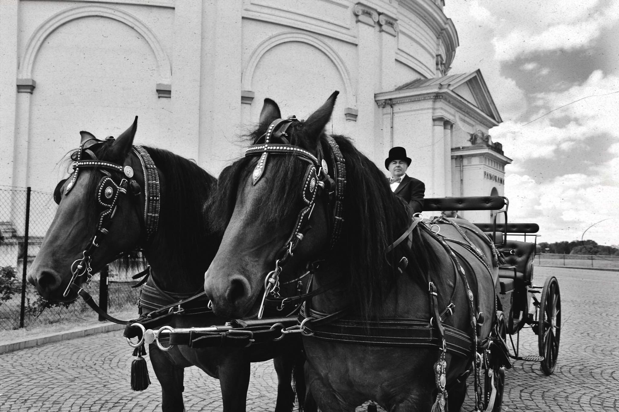 103649333 2544028835862834 4327175654486490051 n