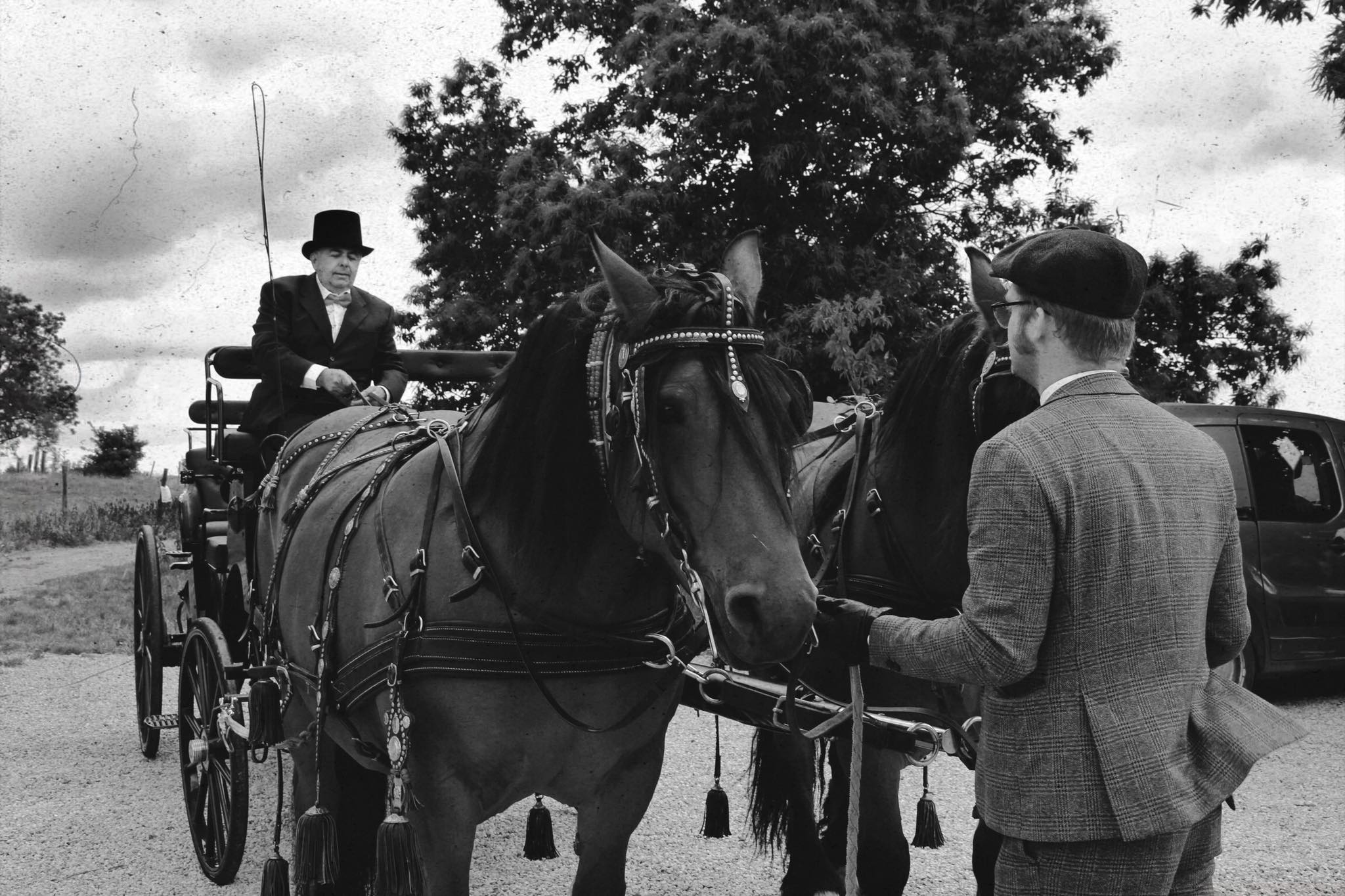 104082958 1167092386984284 7723835232668017847 n