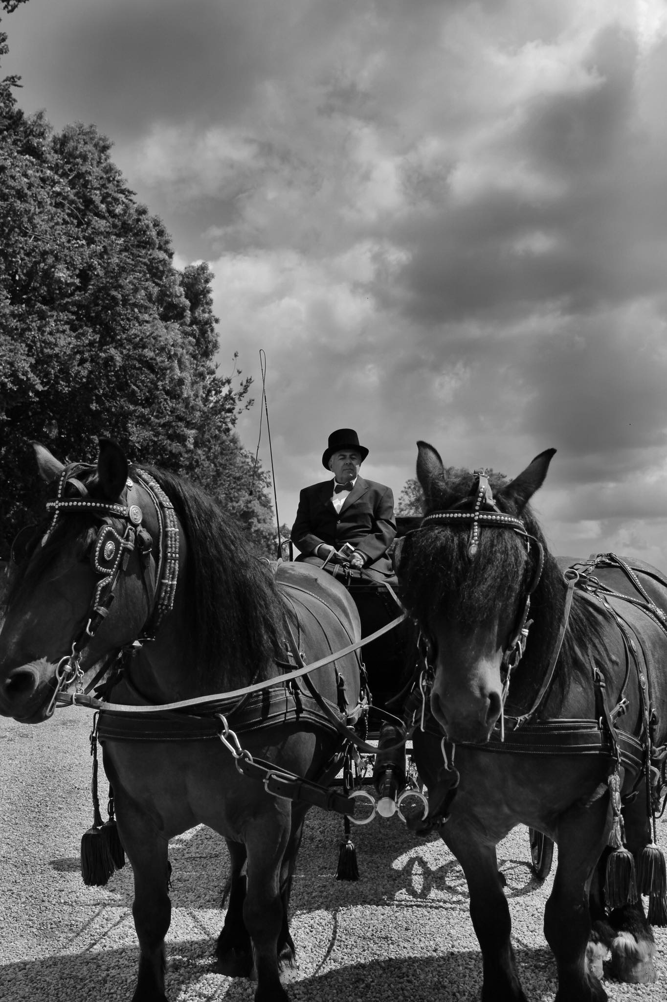 103424949 188655029138556 6449785820001384758 n