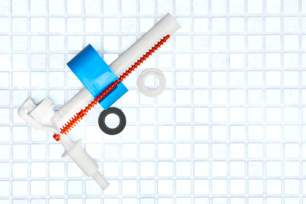 Istockphoto-2162870287-612x612