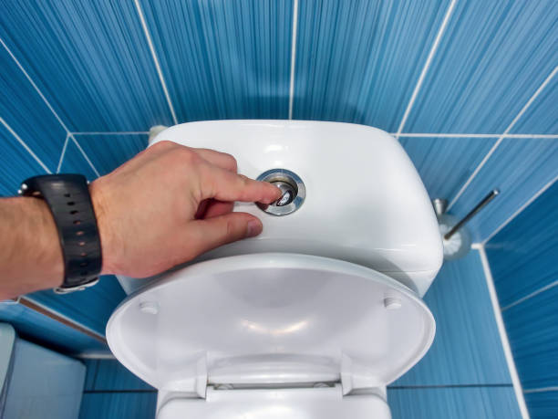 Istockphoto-1449970362-612x612