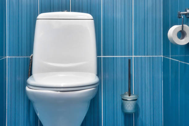 Istockphoto-1441197929-612x612