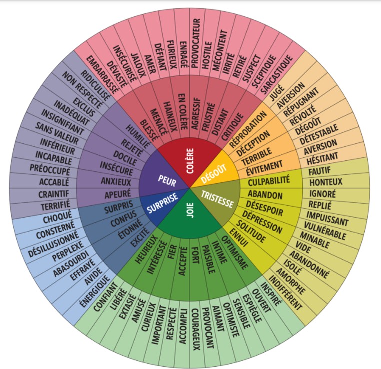 roue des émotions