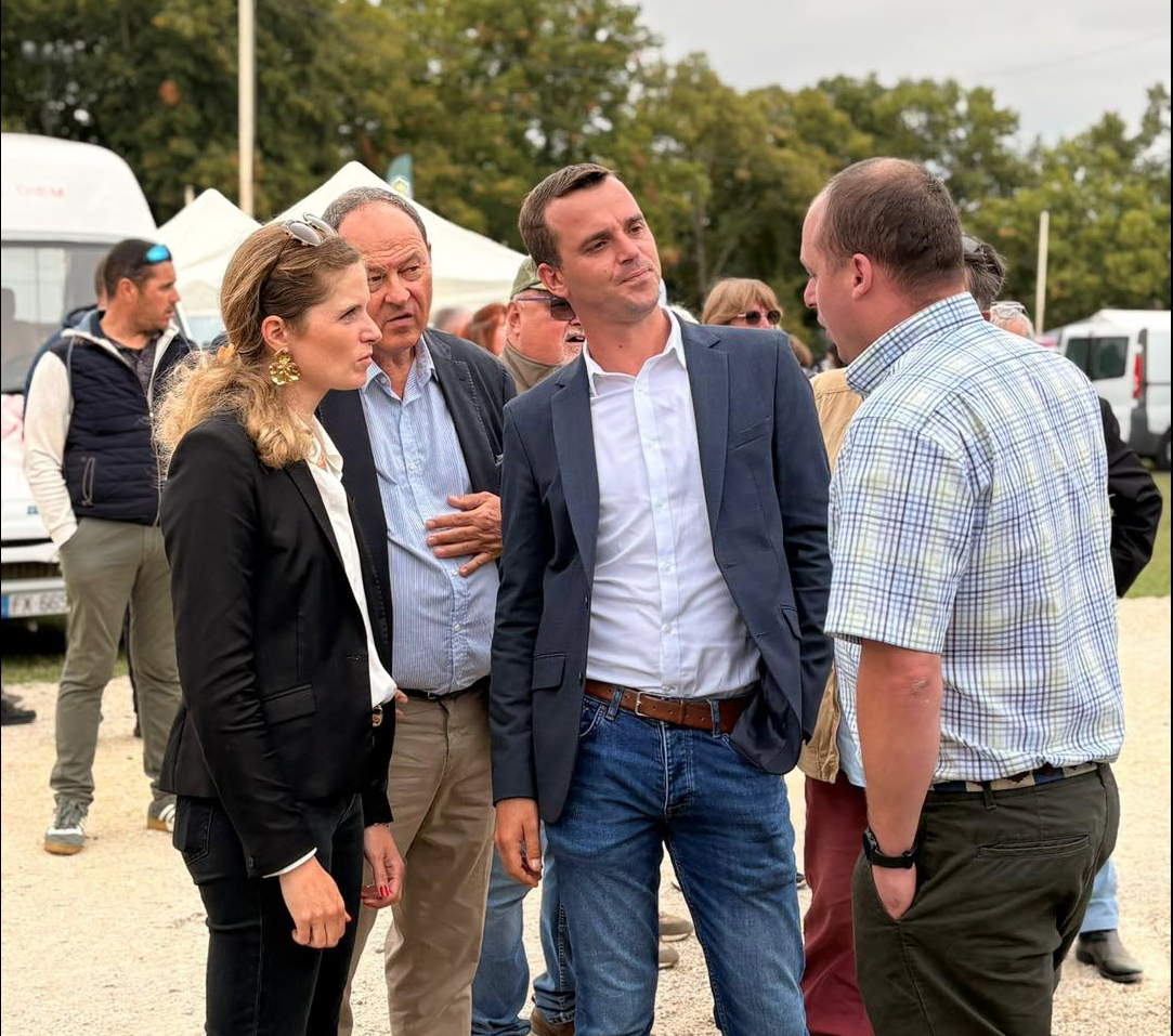 FOIRE AUX BESTIAUX A SULLY-SUR-LOIRE