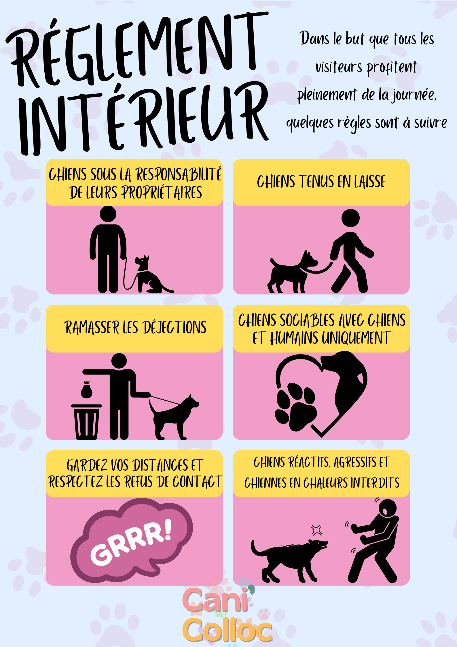 Cani'Colloc 2025 arrive à grands pas !