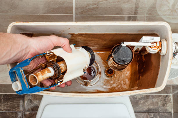 Istockphoto-1450958256-612x612
