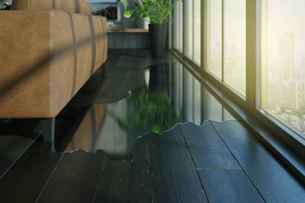 Istockphoto-1337550282-612x612