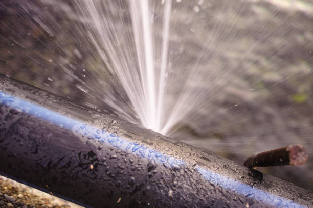 Istockphoto-1074493878-612x612