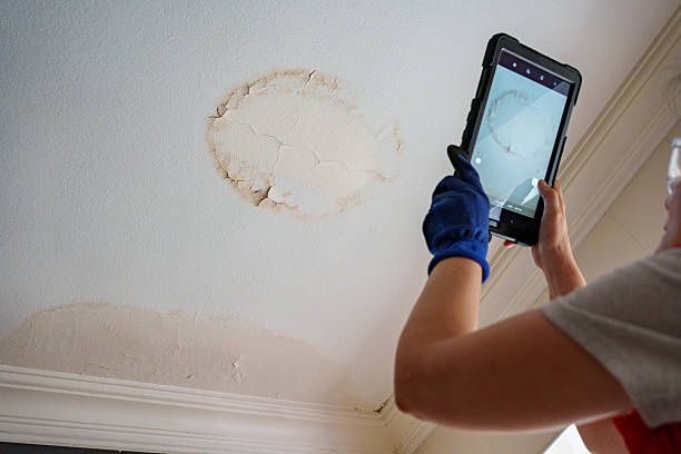 Istockphoto-2222923372-612x612
