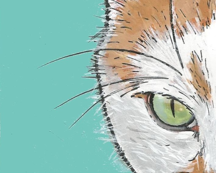 Chat graphique gros plan