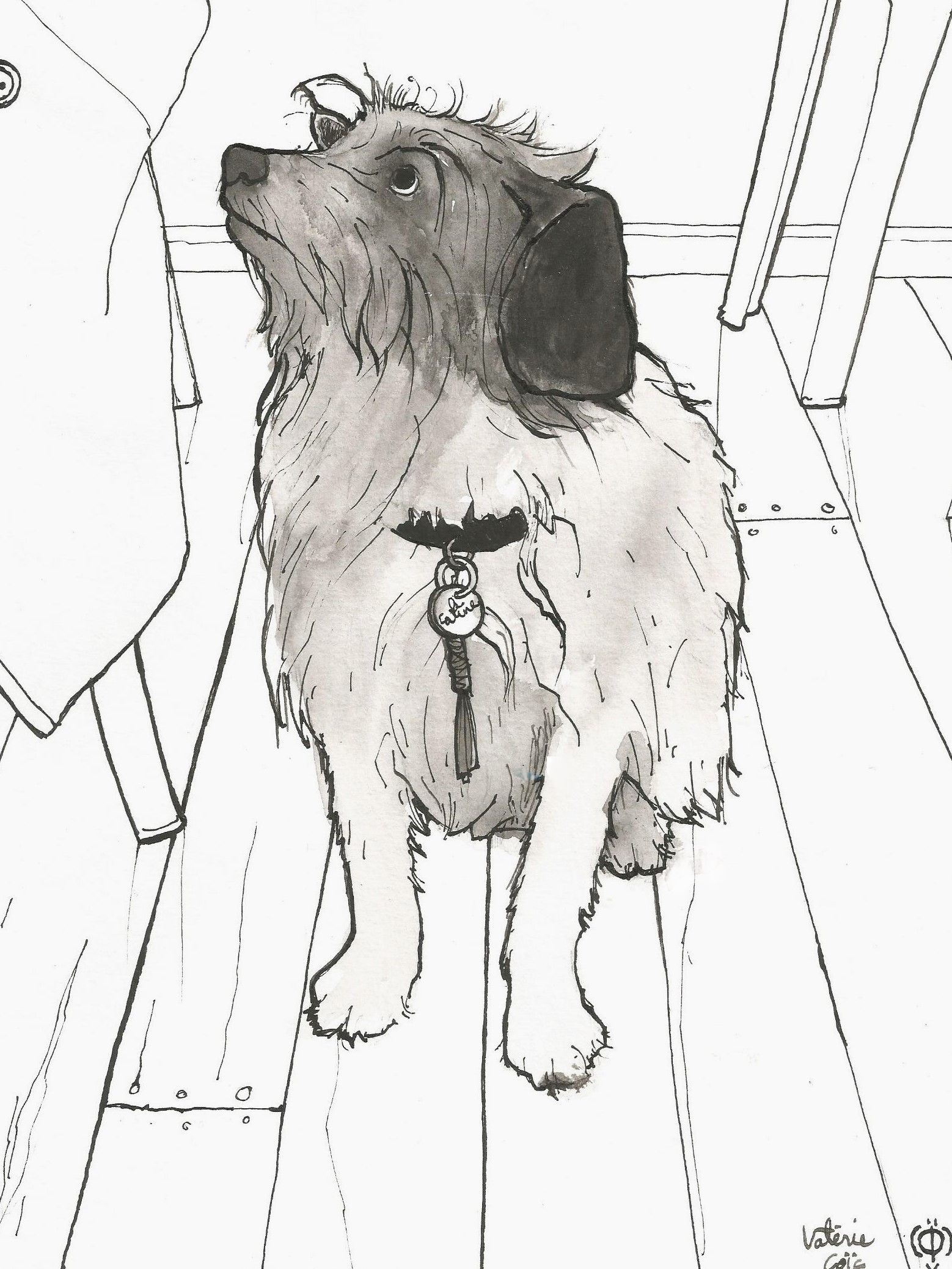 Caline noir et blanc