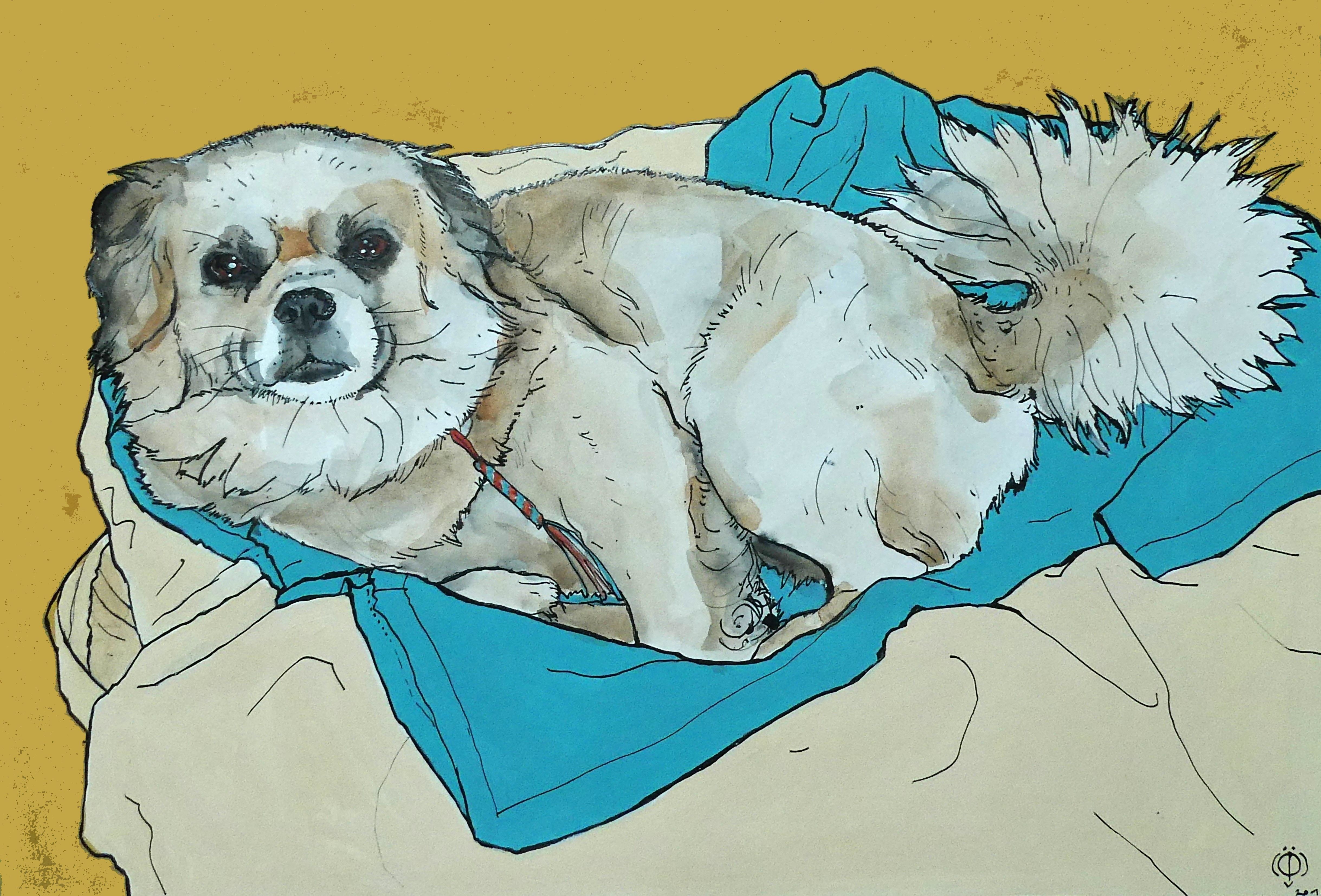 Portrait chien graphique fond jaune