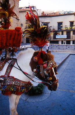 Conte du Petit Cheval