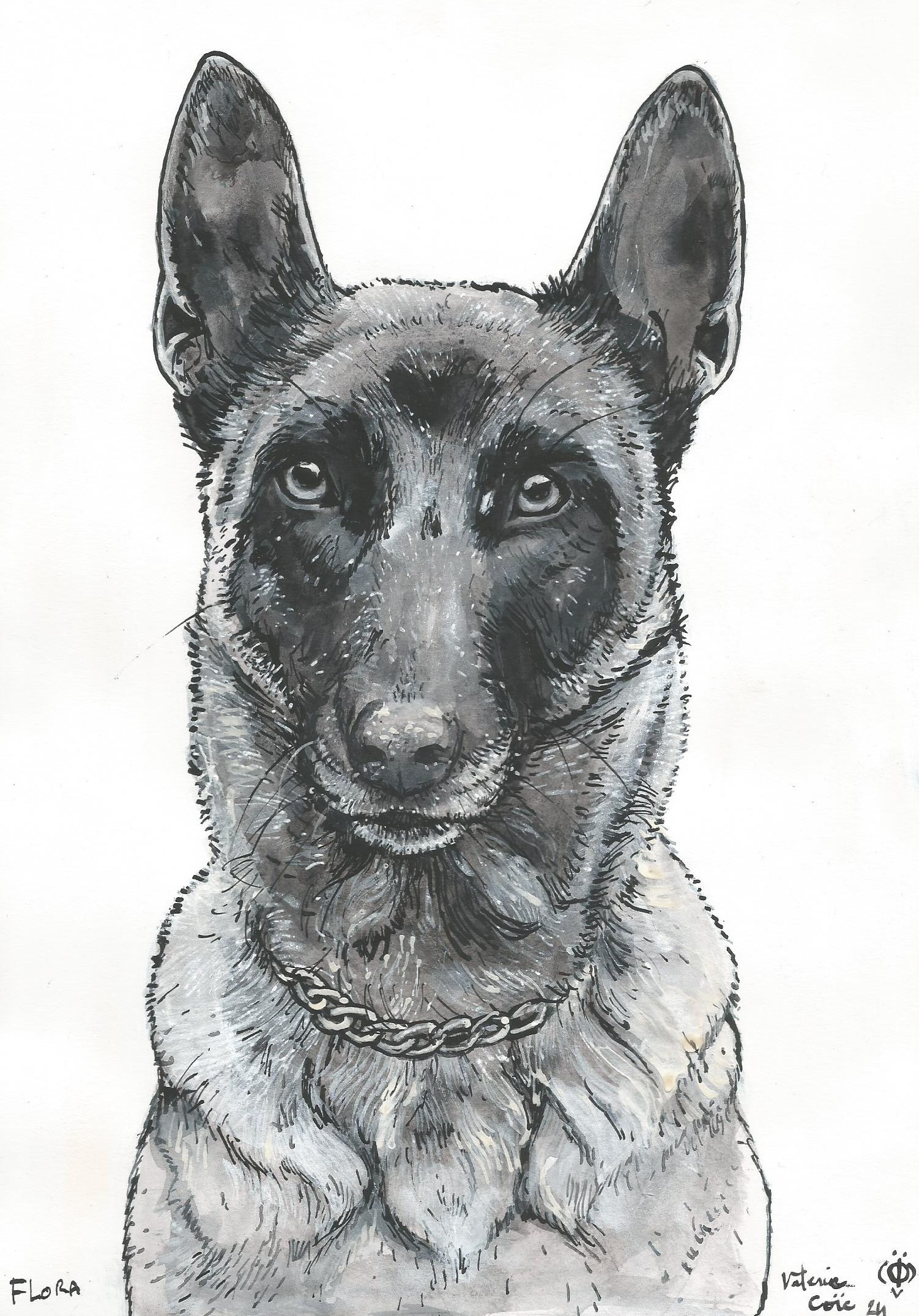 Flora noir et blanc sans marge