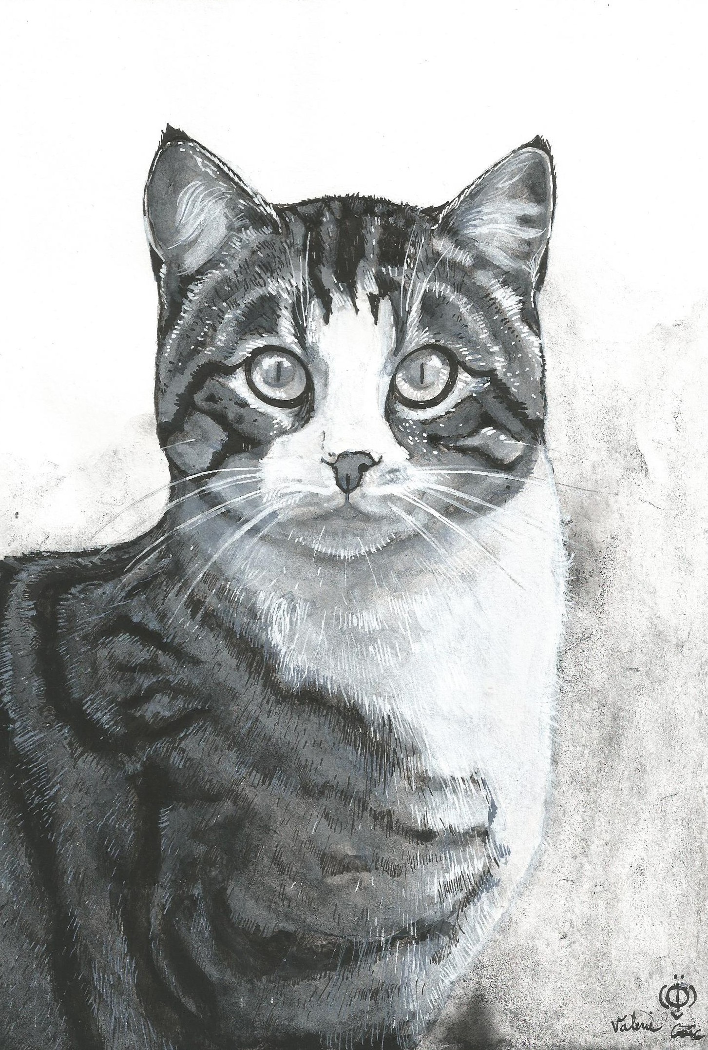 Chat gris 21x29 sans marge