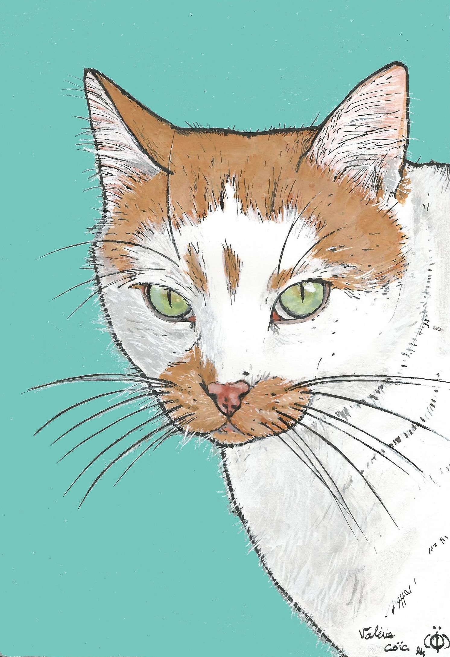 Chat graphique sans marge