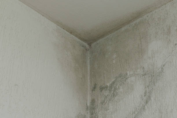 Istockphoto-1206501573-612x612