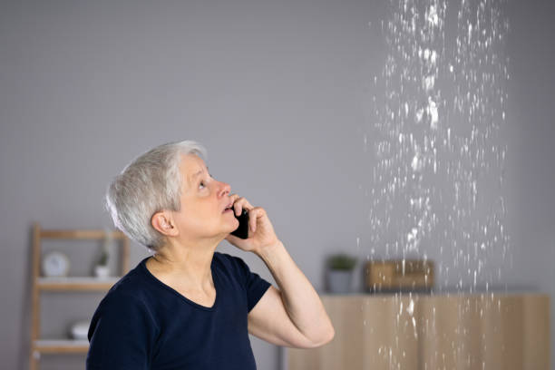 Istockphoto-1415929737-612x612