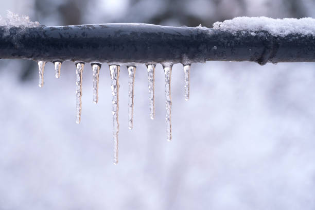 Istockphoto-1914555250-612x612