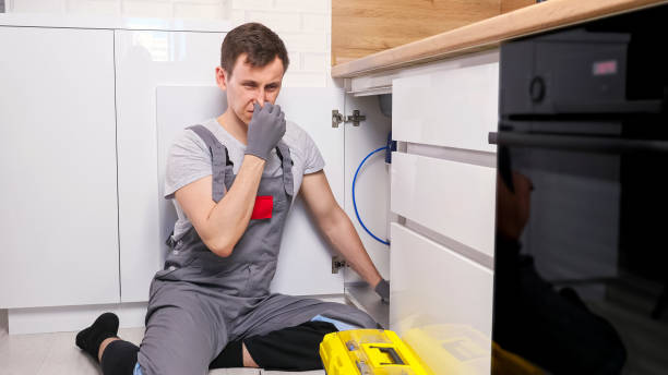 Istockphoto-1333349738-612x612