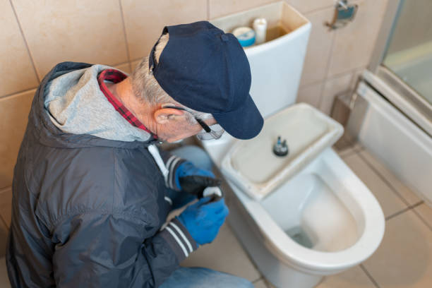 Istockphoto-2152727411-612x612