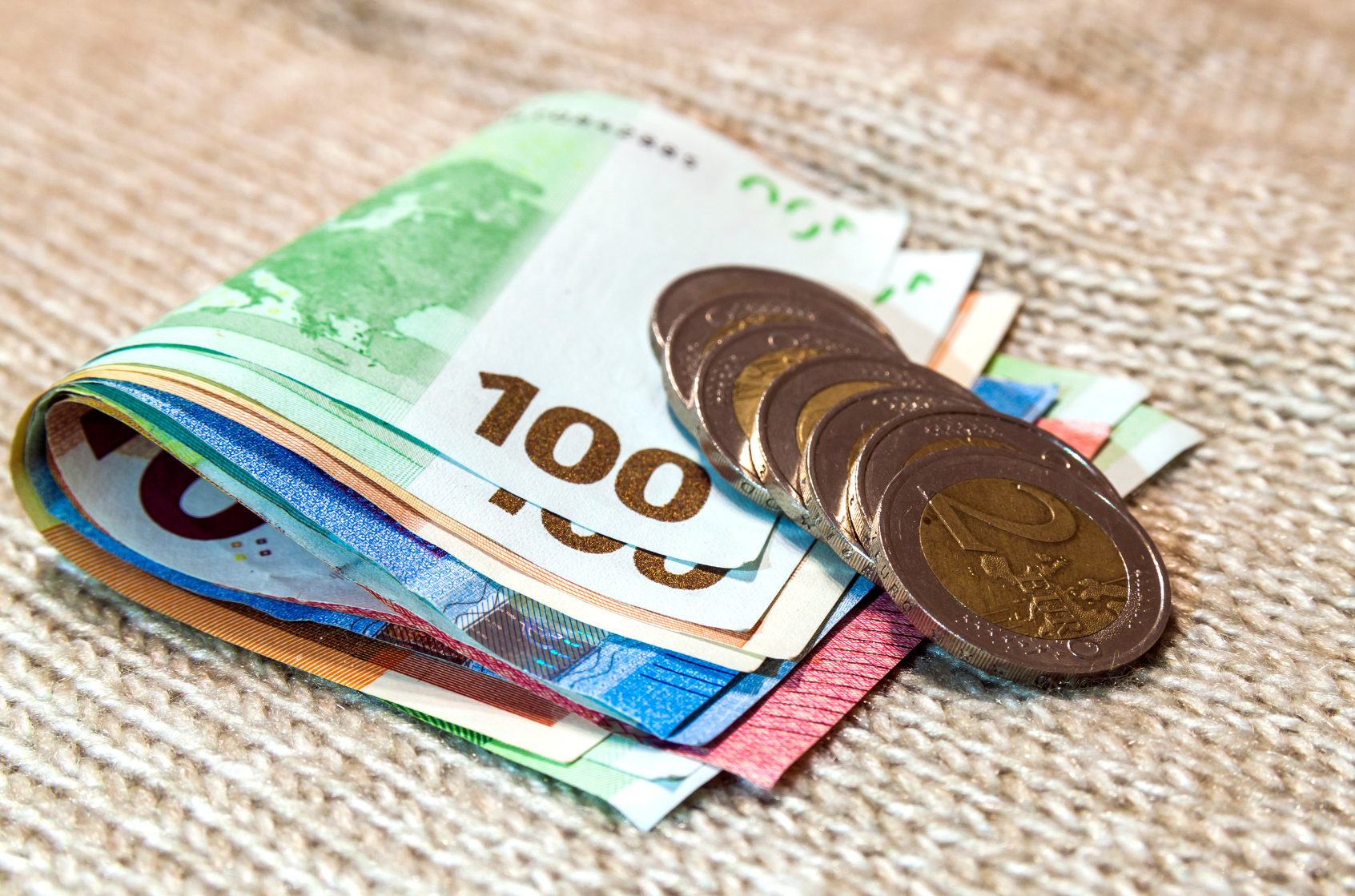 Quels sont les tarifs moyens des pensions pour chiens et chats à La Réunion ?