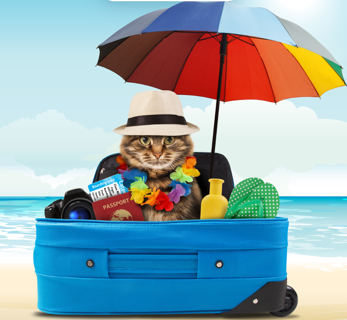 Pension pendant les vacances scolaires et jours fériés : comment réserver à temps à La Réunion ?