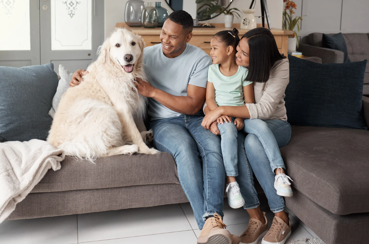 Une journée type chez un dog sitter Pets Service 974 à La Réunion