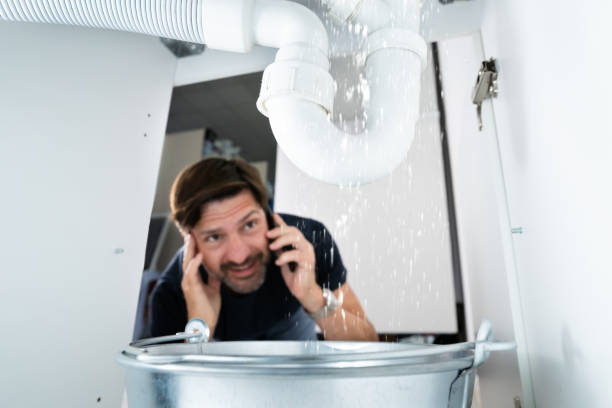 Istockphoto-1409042417-612x612