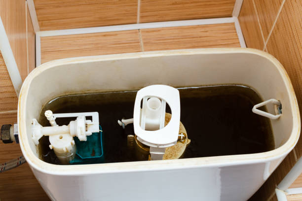 Istockphoto-1089410606-612x612