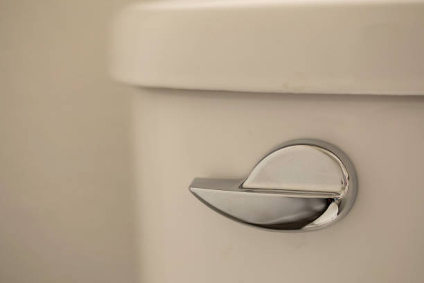Istockphoto-1061955914-612x612