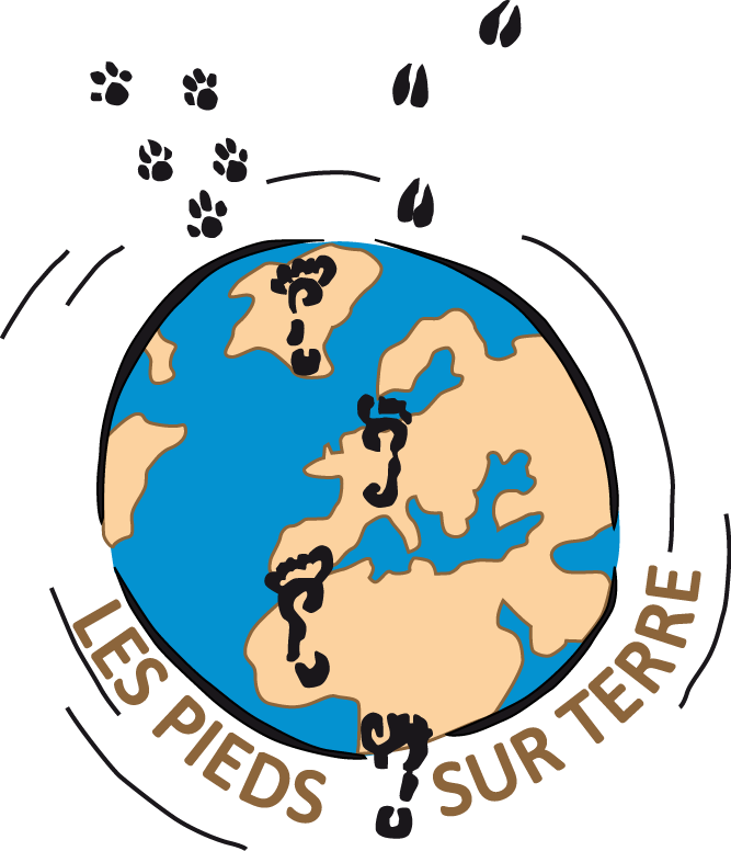 Les-pieds-sur-terre-57