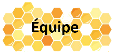 Equipe