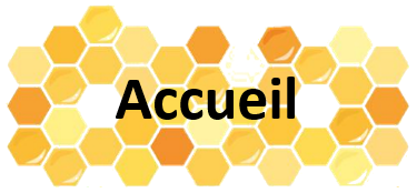 Accueil