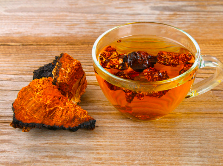 Chaga-le-champignon-aux-mille-vertus