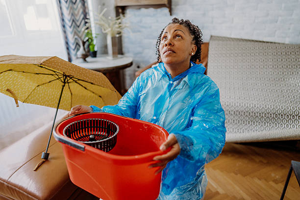Istockphoto-2216878194-612x612