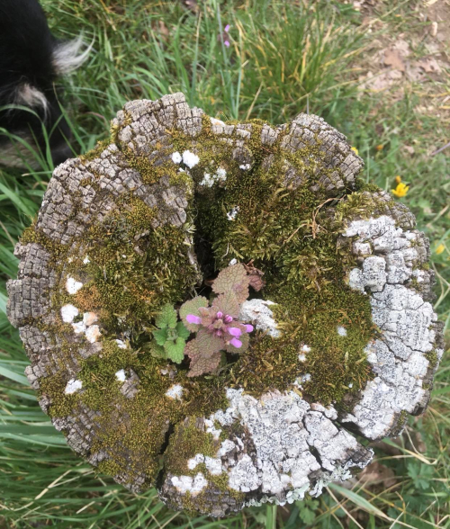 Cadeau de la Nature