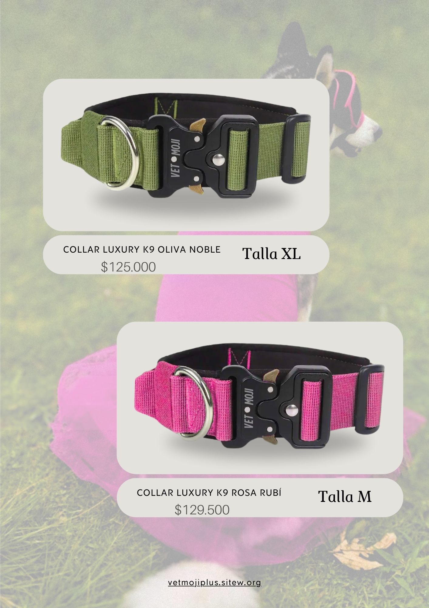 Documento a4 redes sociales marketing plantilla fotos moderno negrita gris 12 