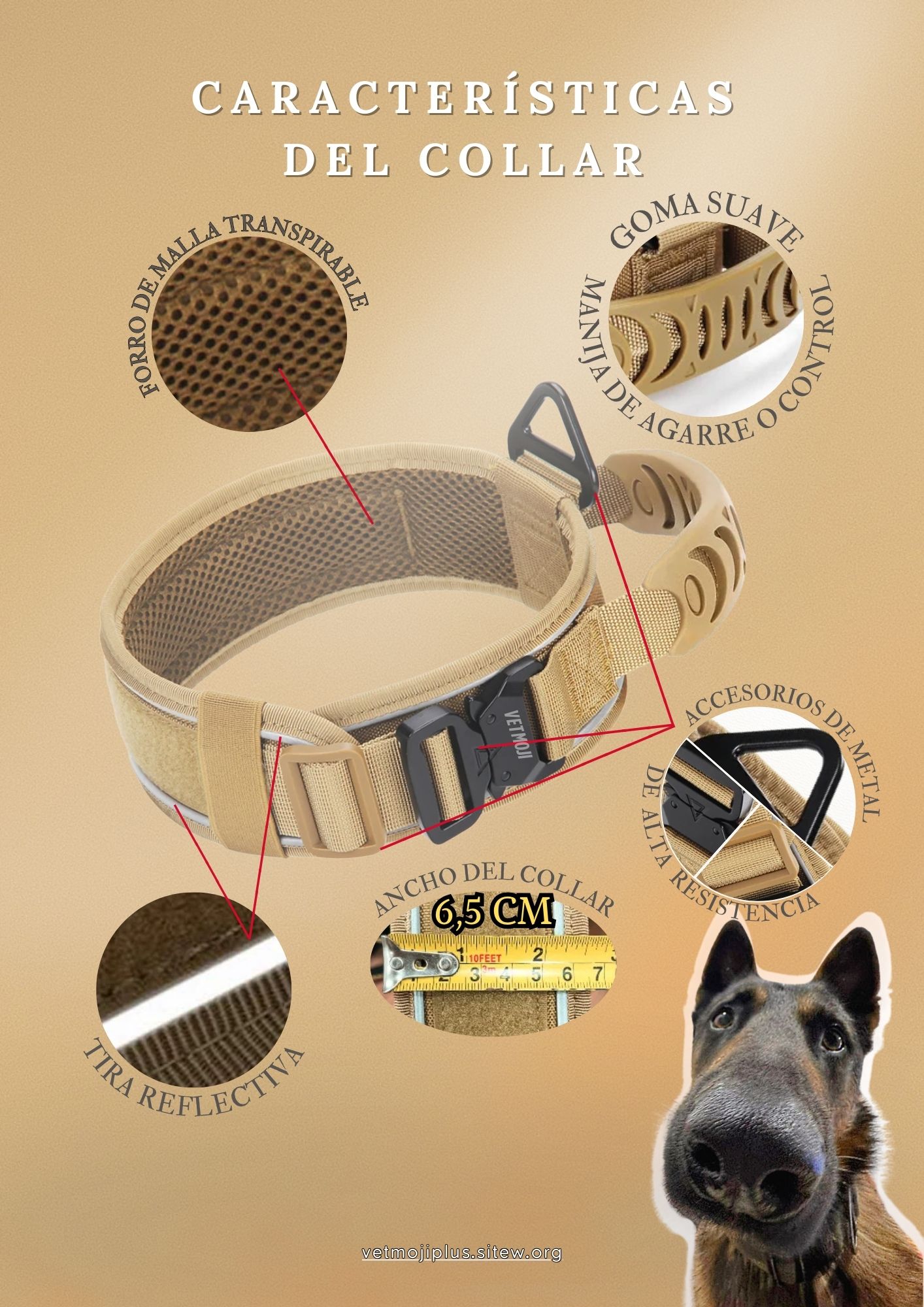 Documento a4 redes sociales marketing plantilla fotos moderno negrita gris 15 