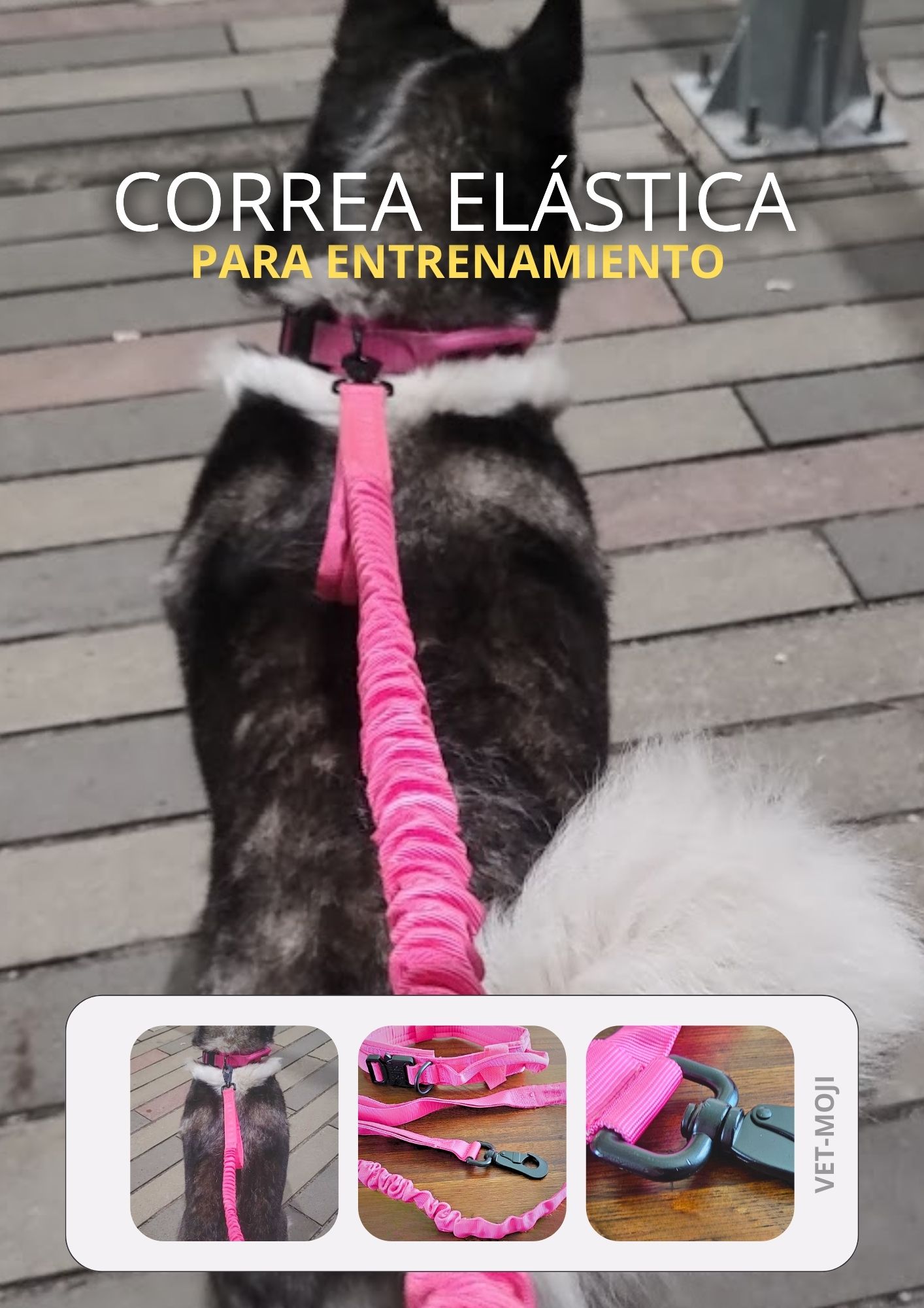 Documento a4 redes sociales marketing plantilla fotos moderno negrita gris 21 