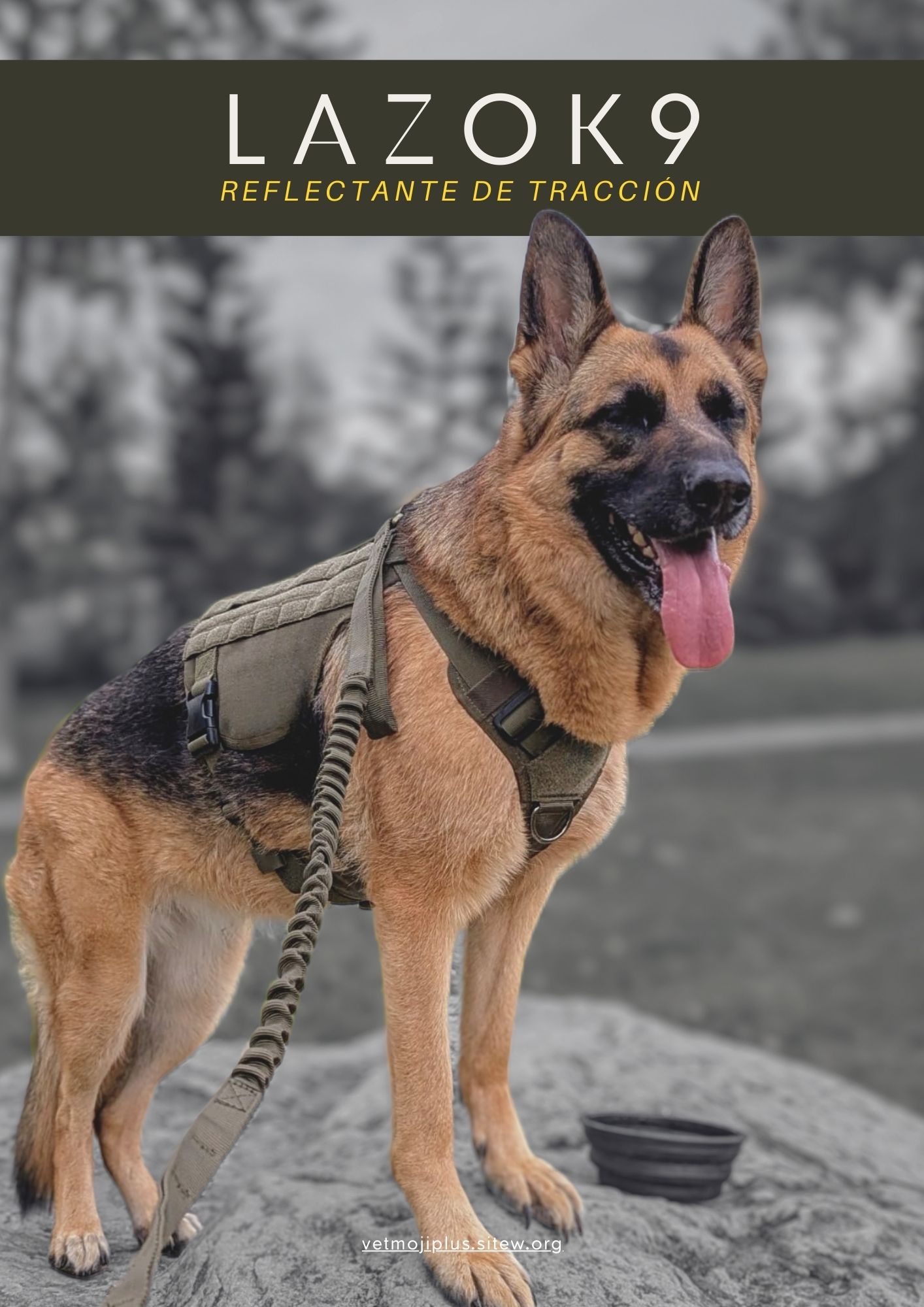 Documento a4 redes sociales marketing plantilla fotos moderno negrita gris 23 