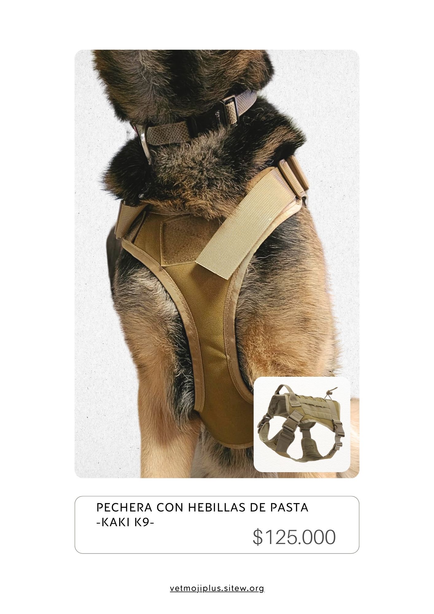 Documento a4 redes sociales marketing plantilla fotos moderno negrita gris 36 