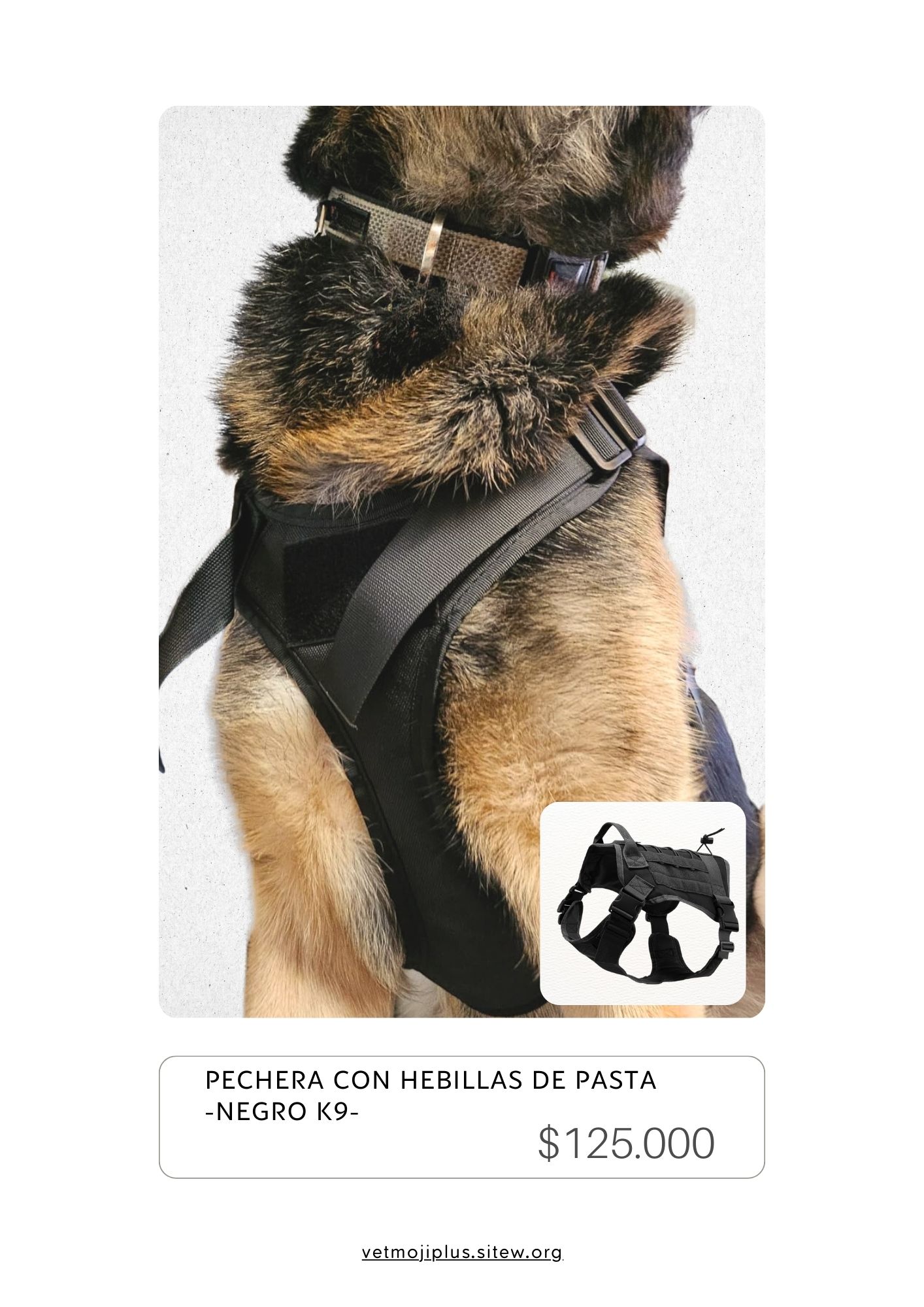 Documento a4 redes sociales marketing plantilla fotos moderno negrita gris 37 