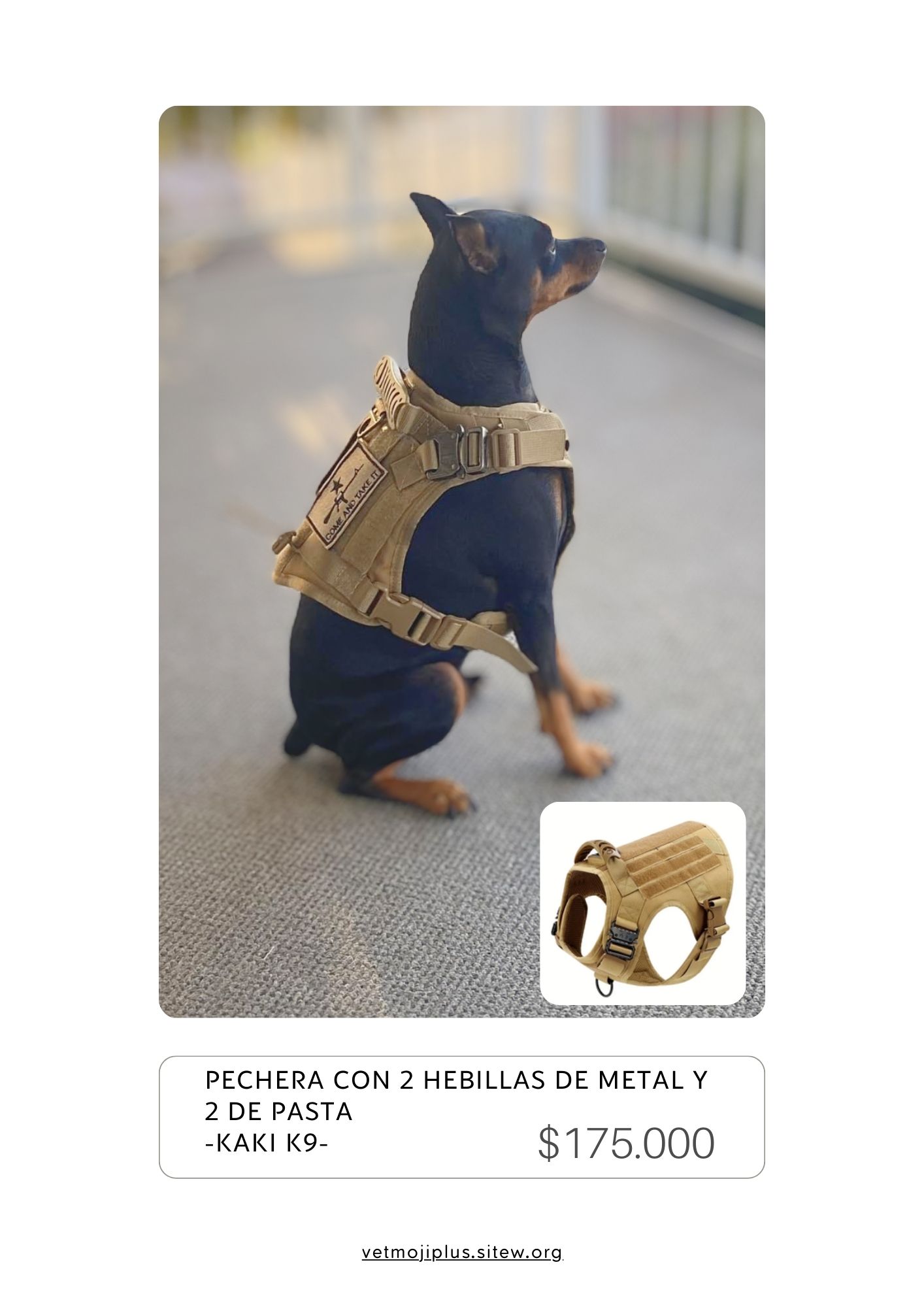 Documento a4 redes sociales marketing plantilla fotos moderno negrita gris 40 