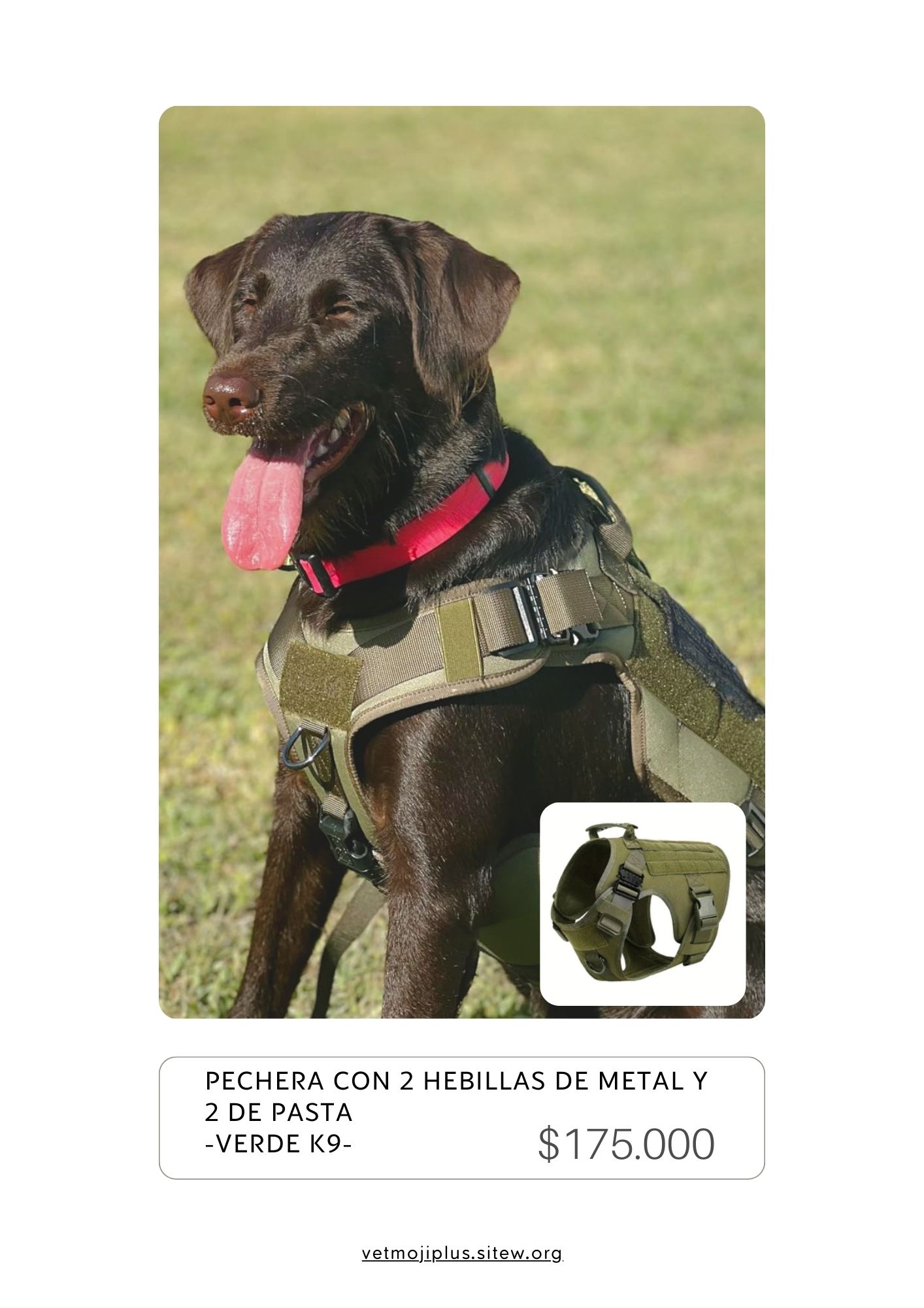 Documento a4 redes sociales marketing plantilla fotos moderno negrita gris 41 