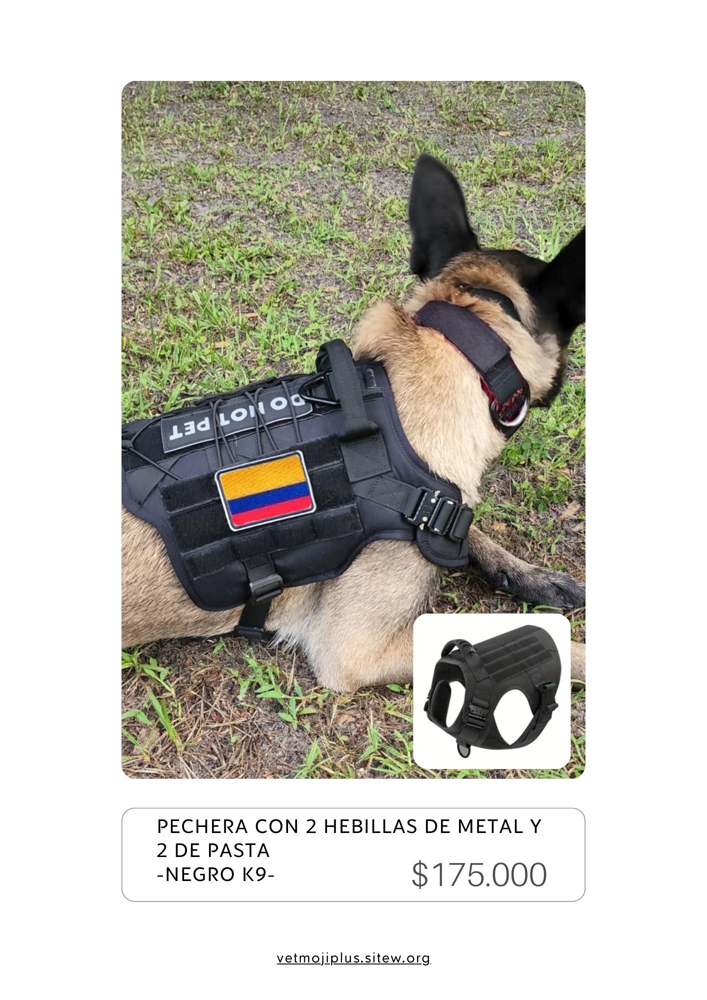 Documento a4 redes sociales marketing plantilla fotos moderno negrita gris 42 