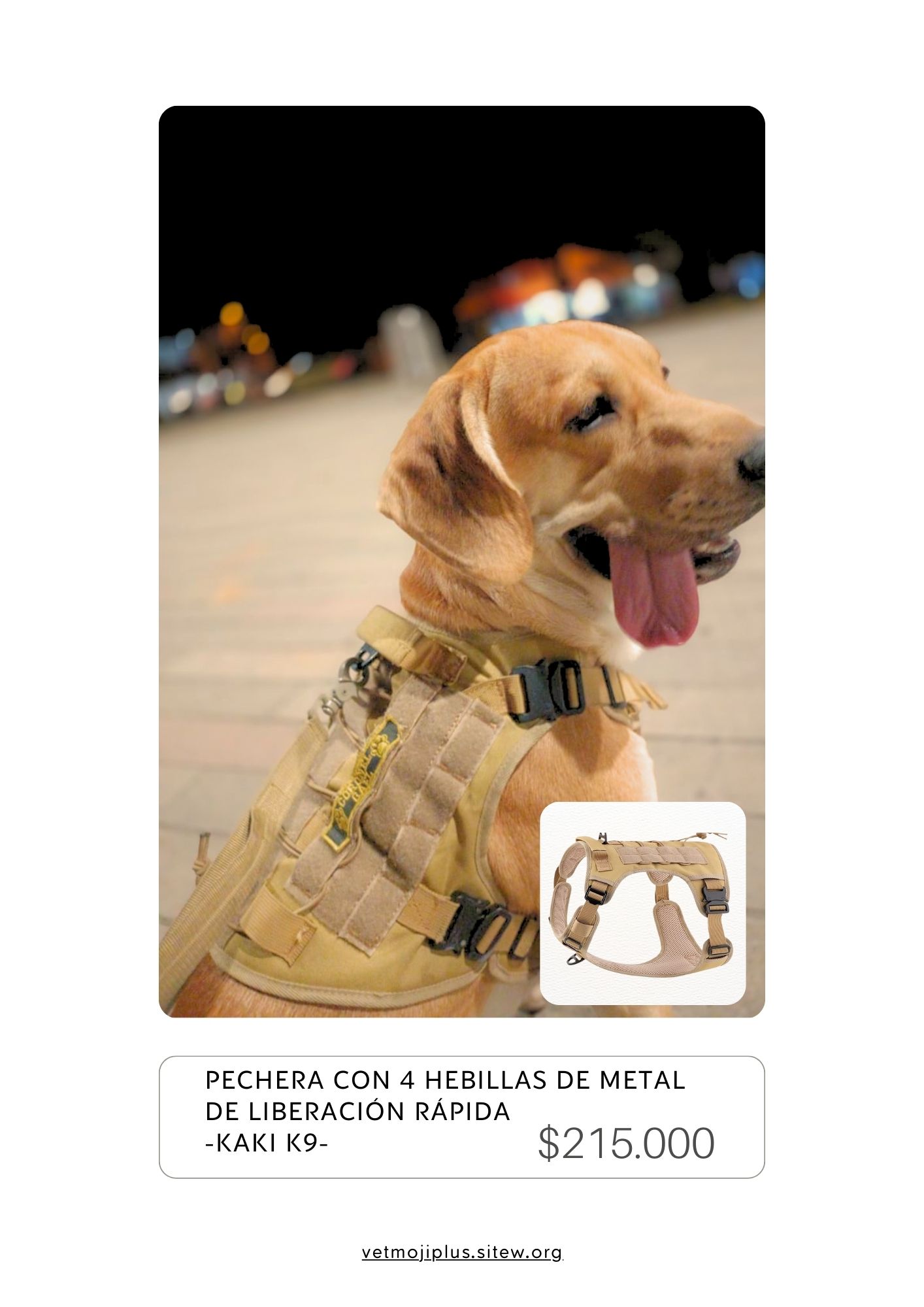 Documento a4 redes sociales marketing plantilla fotos moderno negrita gris 44 