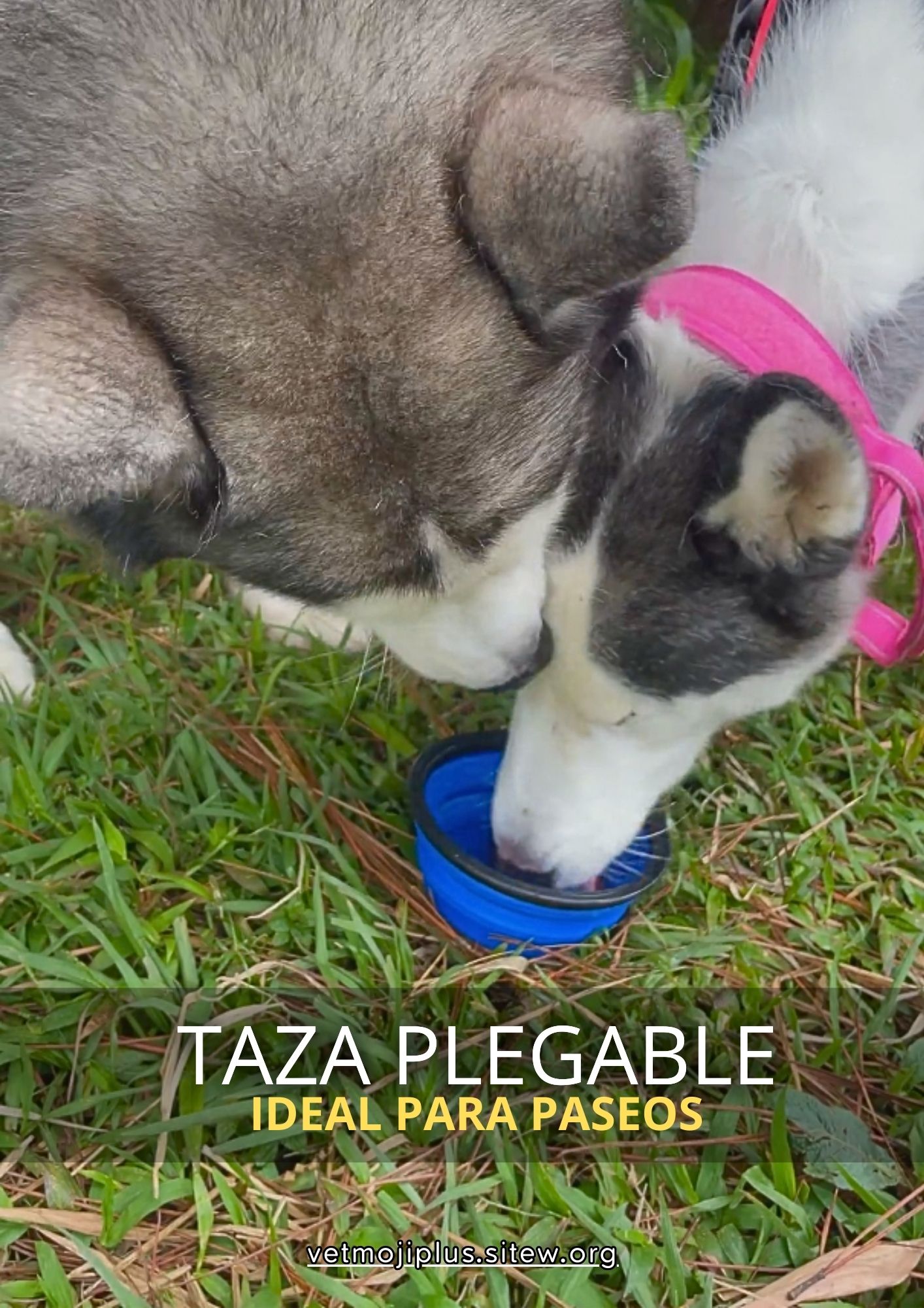 Documento a4 redes sociales marketing plantilla fotos moderno negrita gris 45 