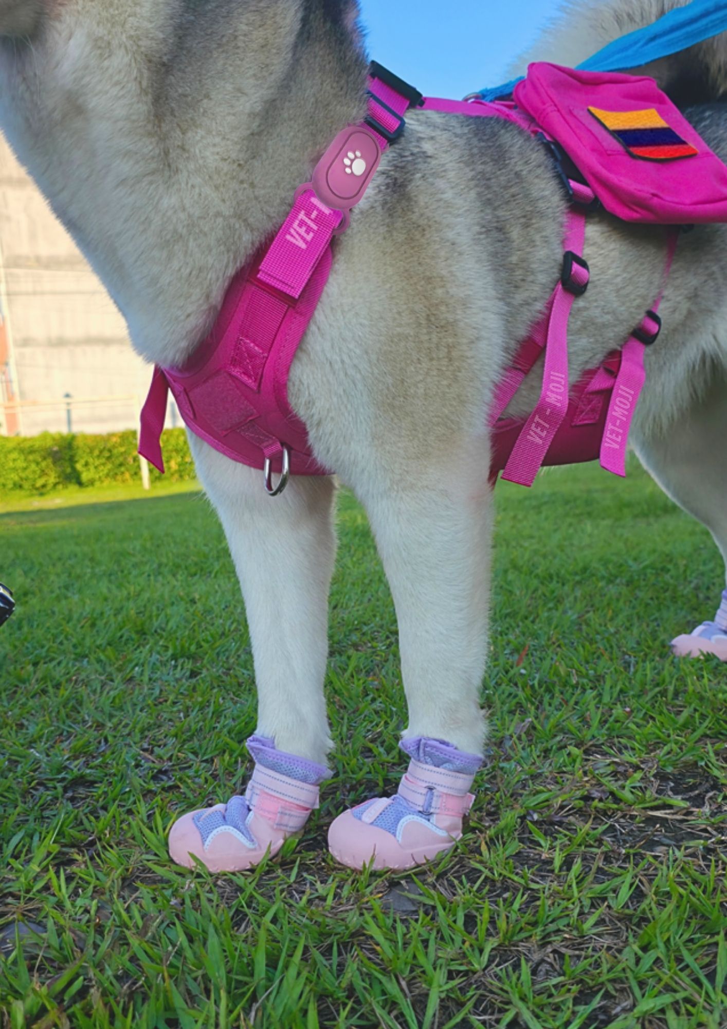 Documento a4 redes sociales marketing plantilla fotos moderno negrita gris 53 