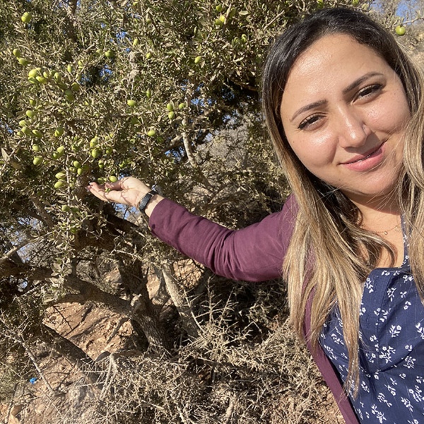 Une femme avec arbre d olive a saleilles